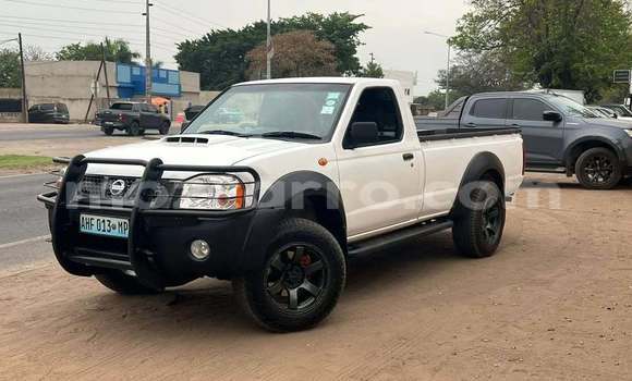 Comprar Usado Nissan Hardbody Branco Carro em Bela Vista em Maputo Comprar Usado Nissan Hardbody Branco Carro em Bela Vista em Maputo