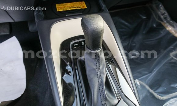 Buy Import Toyota Corolla White Car in Import - Dubai in Cabo Delgado Buy Import Toyota Corolla White Car in Import - Dubai in Cabo Delgado