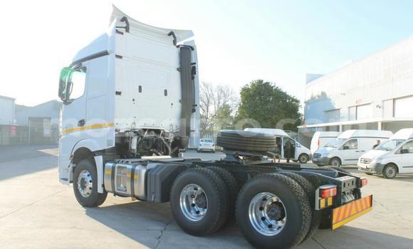 Tenga Tsaru Mercedes‒Benz Truck Chena Rori in Gilé in Zambezia Tenga Tsaru Mercedes‒Benz Truck Chena Rori in Gilé in Zambezia