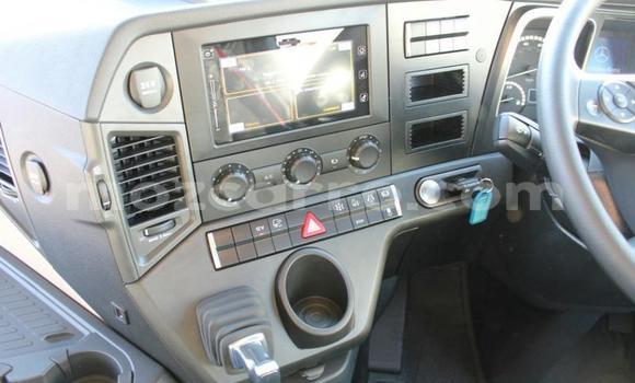 Tenga Tsaru Mercedes‒Benz Truck Chena Rori in Gilé in Zambezia Tenga Tsaru Mercedes‒Benz Truck Chena Rori in Gilé in Zambezia