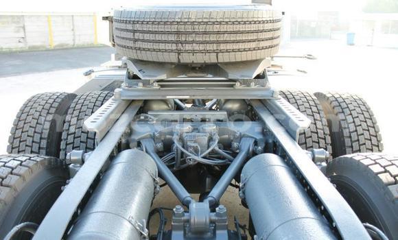 Tenga Tsaru Mercedes‒Benz Truck Chena Rori in Gilé in Zambezia Tenga Tsaru Mercedes‒Benz Truck Chena Rori in Gilé in Zambezia