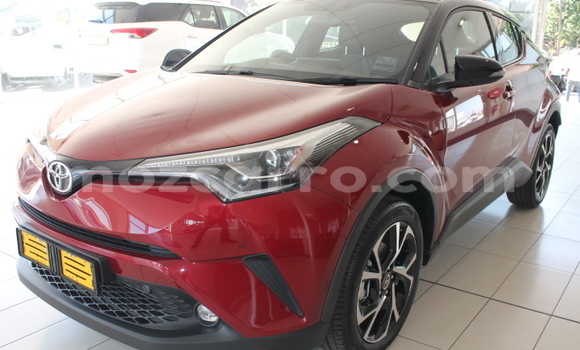 Tenga Tsaru Toyota C-HR Tsvuku Mota in Maputo in Maputo Tenga Tsaru Toyota C-HR Tsvuku Mota in Maputo in Maputo