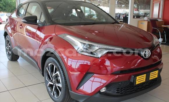 Tenga Tsaru Toyota C-HR Tsvuku Mota in Maputo in Maputo Tenga Tsaru Toyota C-HR Tsvuku Mota in Maputo in Maputo