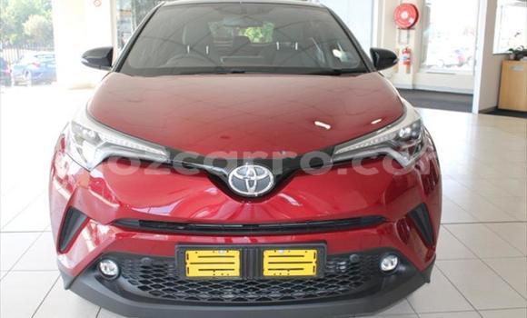 Tenga Tsaru Toyota C-HR Tsvuku Mota in Maputo in Maputo Tenga Tsaru Toyota C-HR Tsvuku Mota in Maputo in Maputo