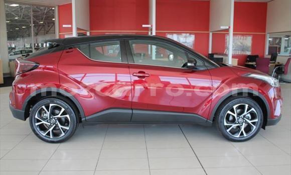 Tenga Tsaru Toyota C-HR Tsvuku Mota in Maputo in Maputo Tenga Tsaru Toyota C-HR Tsvuku Mota in Maputo in Maputo