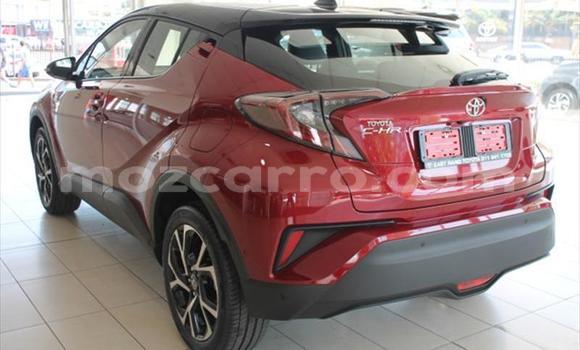 Tenga Tsaru Toyota C-HR Tsvuku Mota in Maputo in Maputo Tenga Tsaru Toyota C-HR Tsvuku Mota in Maputo in Maputo