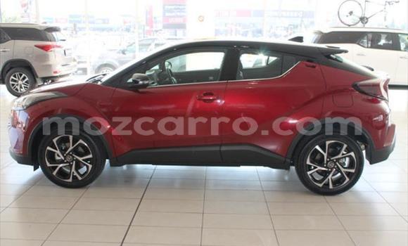 Tenga Tsaru Toyota C-HR Tsvuku Mota in Maputo in Maputo Tenga Tsaru Toyota C-HR Tsvuku Mota in Maputo in Maputo