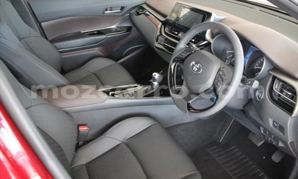 Tenga Tsaru Toyota C-HR Tsvuku Mota in Maputo in Maputo Tenga Tsaru Toyota C-HR Tsvuku Mota in Maputo in Maputo
