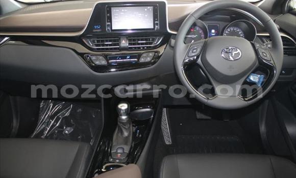 Tenga Tsaru Toyota C-HR Tsvuku Mota in Maputo in Maputo Tenga Tsaru Toyota C-HR Tsvuku Mota in Maputo in Maputo