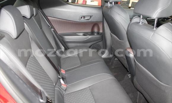 Tenga Tsaru Toyota C-HR Tsvuku Mota in Maputo in Maputo Tenga Tsaru Toyota C-HR Tsvuku Mota in Maputo in Maputo