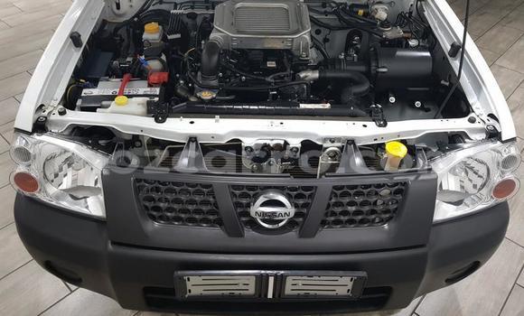Buy Used Nissan NP 300 White Car in Maputo in Maputo Buy Used Nissan NP 300 White Car in Maputo in Maputo