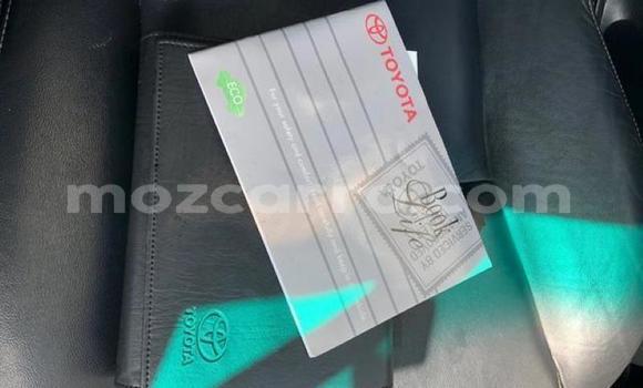 Tenga Tsaru Toyota Hilux Sirivha Mota in Gilé in Zambezia Tenga Tsaru Toyota Hilux Sirivha Mota in Gilé in Zambezia