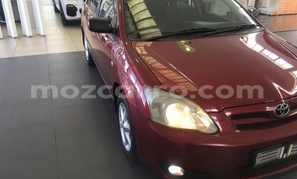 Buy Used Toyota Runx Red Car in Maputo in Maputo Buy Used Toyota Runx Red Car in Maputo in Maputo