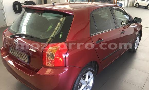Buy Used Toyota Runx Red Car in Maputo in Maputo Buy Used Toyota Runx Red Car in Maputo in Maputo