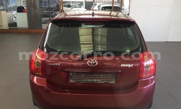 Buy Used Toyota Runx Red Car in Maputo in Maputo Buy Used Toyota Runx Red Car in Maputo in Maputo