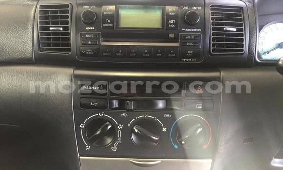 Buy Used Toyota Runx Red Car in Maputo in Maputo Buy Used Toyota Runx Red Car in Maputo in Maputo