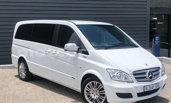 Tenga Tsaru Mercedes‒Benz Viano Chena Mota in Gilé in Zambezia Tenga Tsaru Mercedes‒Benz Viano Chena Mota in Gilé in Zambezia