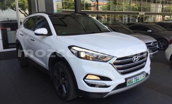 Tenga Tsaru Hyundai Tucson Chena Mota in Nampula in Nampula Tenga Tsaru Hyundai Tucson Chena Mota in Nampula in Nampula