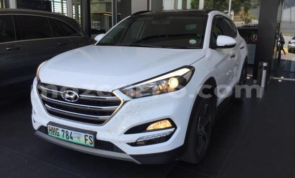 Tenga Tsaru Hyundai Tucson Chena Mota in Nampula in Nampula Tenga Tsaru Hyundai Tucson Chena Mota in Nampula in Nampula