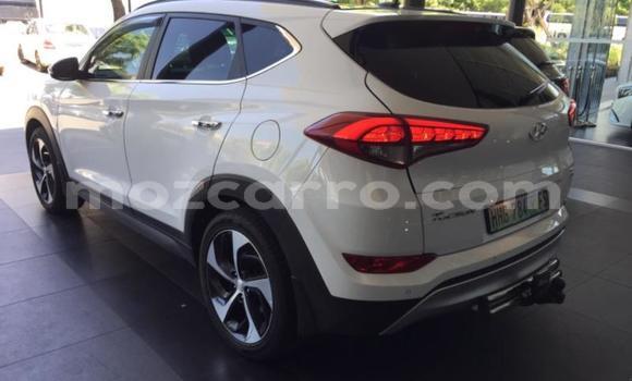 Tenga Tsaru Hyundai Tucson Chena Mota in Nampula in Nampula Tenga Tsaru Hyundai Tucson Chena Mota in Nampula in Nampula