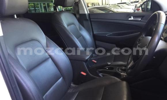 Tenga Tsaru Hyundai Tucson Chena Mota in Nampula in Nampula Tenga Tsaru Hyundai Tucson Chena Mota in Nampula in Nampula