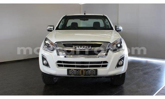 Buy Used Isuzu KB White Car in Gilé in Zambezia Buy Used Isuzu KB White Car in Gilé in Zambezia