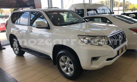Nunua Ilio tumika Toyota Land Cruiser Prado Nyeupe Gari ndani ya Gilé nchini Zambezia Nunua Ilio tumika Toyota Land Cruiser Prado Nyeupe Gari ndani ya Gilé nchini Zambezia