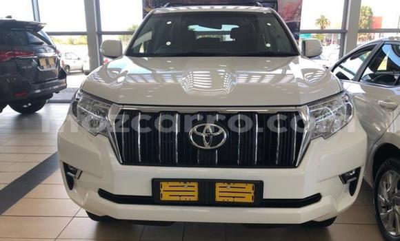 Nunua Ilio tumika Toyota Land Cruiser Prado Nyeupe Gari ndani ya Gilé nchini Zambezia Nunua Ilio tumika Toyota Land Cruiser Prado Nyeupe Gari ndani ya Gilé nchini Zambezia