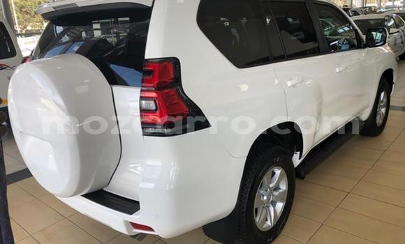 Nunua Ilio tumika Toyota Land Cruiser Prado Nyeupe Gari ndani ya Gilé nchini Zambezia Nunua Ilio tumika Toyota Land Cruiser Prado Nyeupe Gari ndani ya Gilé nchini Zambezia