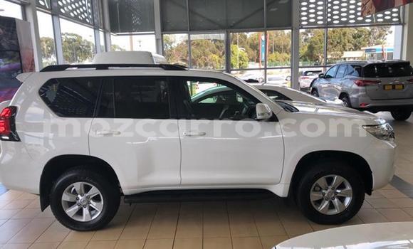 Nunua Ilio tumika Toyota Land Cruiser Prado Nyeupe Gari ndani ya Gilé nchini Zambezia Nunua Ilio tumika Toyota Land Cruiser Prado Nyeupe Gari ndani ya Gilé nchini Zambezia