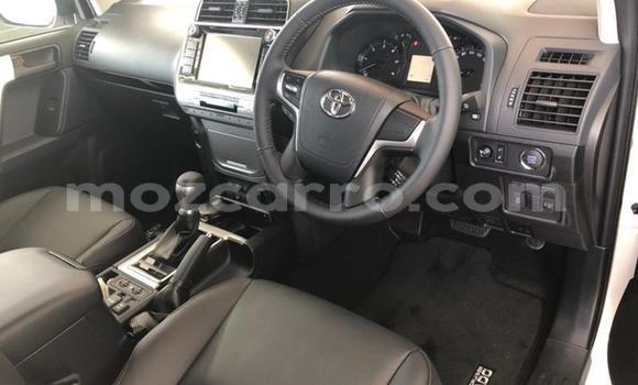 Nunua Ilio tumika Toyota Land Cruiser Prado Nyeupe Gari ndani ya Gilé nchini Zambezia Nunua Ilio tumika Toyota Land Cruiser Prado Nyeupe Gari ndani ya Gilé nchini Zambezia