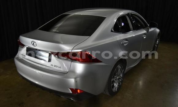 Comprar Usado Lexus IS Prata Carro em Gilé em Zambezia Comprar Usado Lexus IS Prata Carro em Gilé em Zambezia