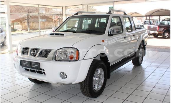 Nunua Ilio tumika Nissan NP 300 Nyeupe Gari ndani ya Gilé nchini Zambezia Nunua Ilio tumika Nissan NP 300 Nyeupe Gari ndani ya Gilé nchini Zambezia