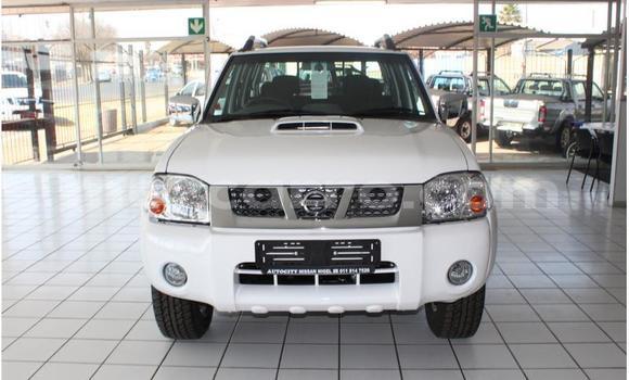 Nunua Ilio tumika Nissan NP 300 Nyeupe Gari ndani ya Gilé nchini Zambezia Nunua Ilio tumika Nissan NP 300 Nyeupe Gari ndani ya Gilé nchini Zambezia