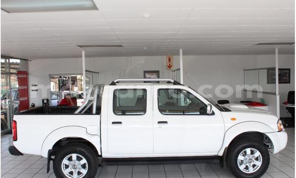 Nunua Ilio tumika Nissan NP 300 Nyeupe Gari ndani ya Gilé nchini Zambezia Nunua Ilio tumika Nissan NP 300 Nyeupe Gari ndani ya Gilé nchini Zambezia