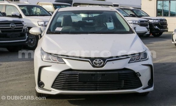 Buy Import Toyota Corolla White Car in Import - Dubai in Cabo Delgado Buy Import Toyota Corolla White Car in Import - Dubai in Cabo Delgado