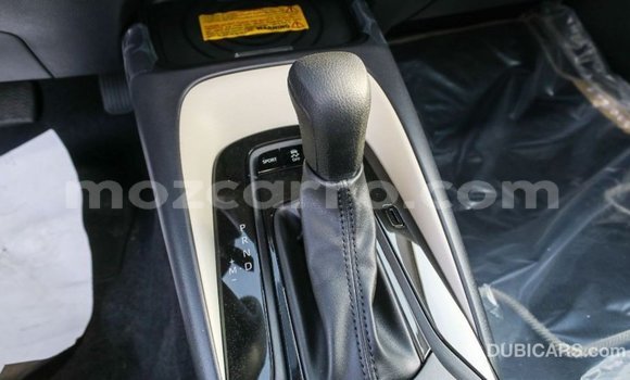 Buy Import Toyota Corolla White Car in Import - Dubai in Cabo Delgado Buy Import Toyota Corolla White Car in Import - Dubai in Cabo Delgado