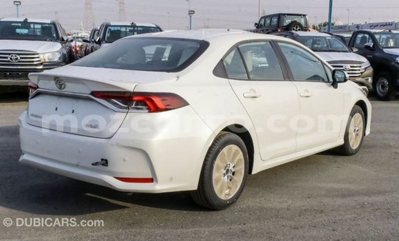 Buy Import Toyota Corolla White Car in Import - Dubai in Cabo Delgado Buy Import Toyota Corolla White Car in Import - Dubai in Cabo Delgado