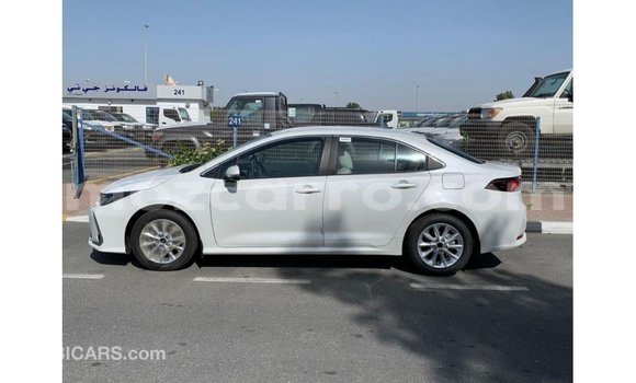 Comprar Importar Toyota Corolla Branco Carro em Import - Dubai em Cabo Delgado Comprar Importar Toyota Corolla Branco Carro em Import - Dubai em Cabo Delgado