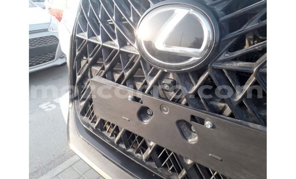 Comprar Importar Lexus LX Branco Carro em Import - Dubai em Cabo Delgado Comprar Importar Lexus LX Branco Carro em Import - Dubai em Cabo Delgado