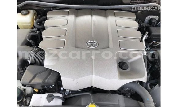 Comprar Importar Toyota Land Cruiser Branco Carro em Import - Dubai em Cabo Delgado Comprar Importar Toyota Land Cruiser Branco Carro em Import - Dubai em Cabo Delgado