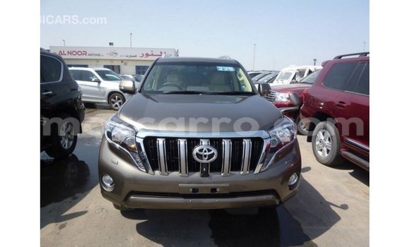 Comprar Importar Toyota Prado Castanho Carro em Import - Dubai em Cabo Delgado Comprar Importar Toyota Prado Castanho Carro em Import - Dubai em Cabo Delgado