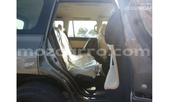 Buy Import Toyota Prado Brown Car in Import - Dubai in Cabo Delgado Buy Import Toyota Prado Brown Car in Import - Dubai in Cabo Delgado