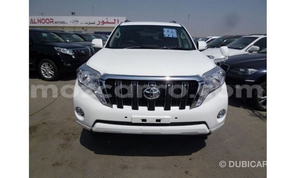 Comprar Importar Toyota Prado Branco Carro em Import - Dubai em Cabo Delgado Comprar Importar Toyota Prado Branco Carro em Import - Dubai em Cabo Delgado