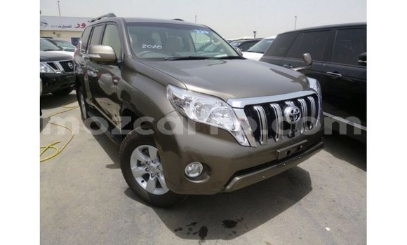 Comprar Importar Toyota Prado Castanho Carro em Import - Dubai em Cabo Delgado Comprar Importar Toyota Prado Castanho Carro em Import - Dubai em Cabo Delgado