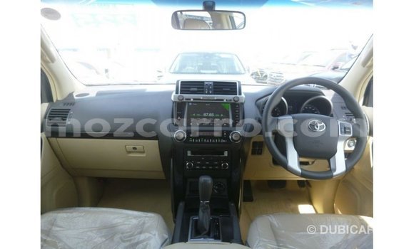 Nunua Imported Toyota Prado Nyeupe Gari ndani ya Import - Dubai nchini Cabo Delgado Nunua Imported Toyota Prado Nyeupe Gari ndani ya Import - Dubai nchini Cabo Delgado