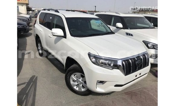Buy Import Toyota Prado White Car in Import - Dubai in Cabo Delgado Buy Import Toyota Prado White Car in Import - Dubai in Cabo Delgado