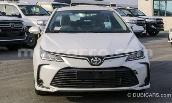Buy Import Toyota Corolla White Car in Import - Dubai in Cabo Delgado Buy Import Toyota Corolla White Car in Import - Dubai in Cabo Delgado