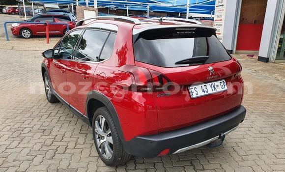 Buy Used Peugeot 2008 Red Car in Nampula in Nampula Buy Used Peugeot 2008 Red Car in Nampula in Nampula