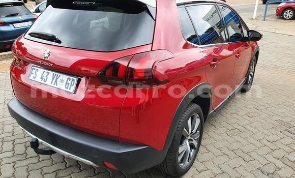 Buy Used Peugeot 2008 Red Car in Nampula in Nampula Buy Used Peugeot 2008 Red Car in Nampula in Nampula